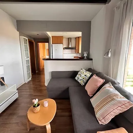 Atico-terraza En Apartment Paiporta